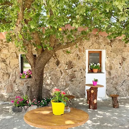 Bonu Suile Feriegård